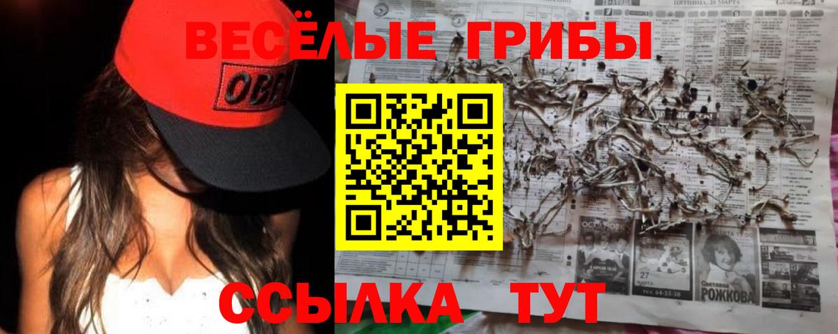 Псилоцибиновые грибы GOLDEN TEACHER  Галлюциногенные грибы мицелий  Вход с VPN  Темрюк 